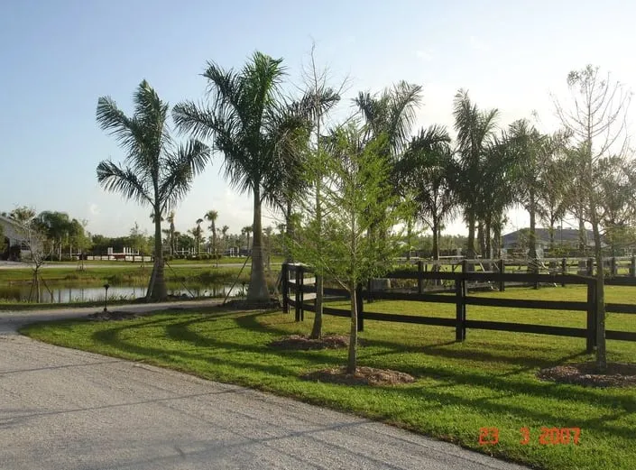 Local lawn care service near you across Wellington, FL - Green Team Solutions