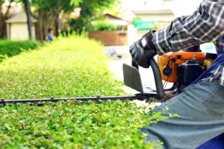 Local yard cleanup service for outdoor upgrades across Ruston, LA - Green Tech Lawn Pros
