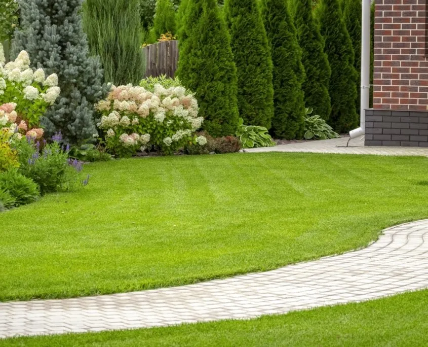 Expert landscape design experts serving Ruston, LA - Green Tech Lawn Pros