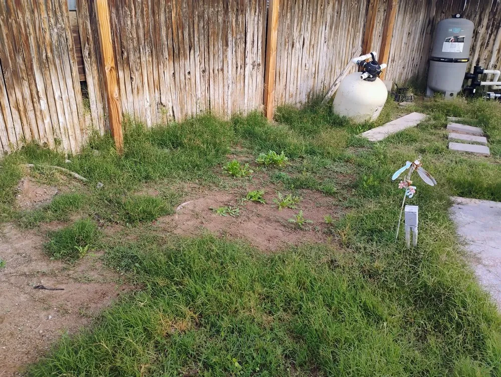 Expert yard cleanup service for homes across Yuma, AZ - Green Teen Landscaping