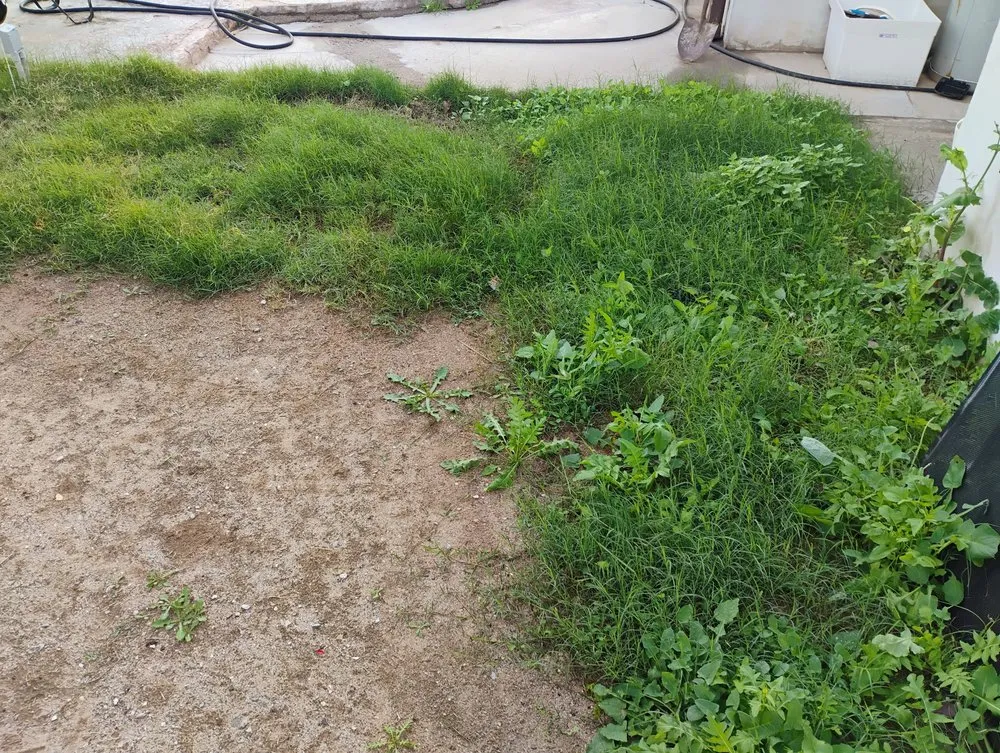 Custom outdoor landscaping experts serving Yuma, AZ - Green Teen Landscaping