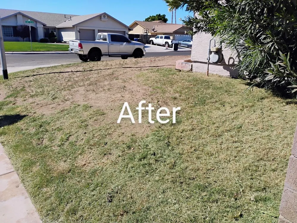 Reliable garden landscaping near you across Yuma, AZ - Green Teen Landscaping