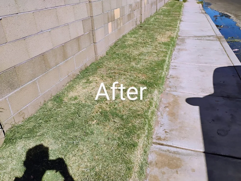 Custom residential landscaping for homes across Yuma, AZ - Green Teen Landscaping