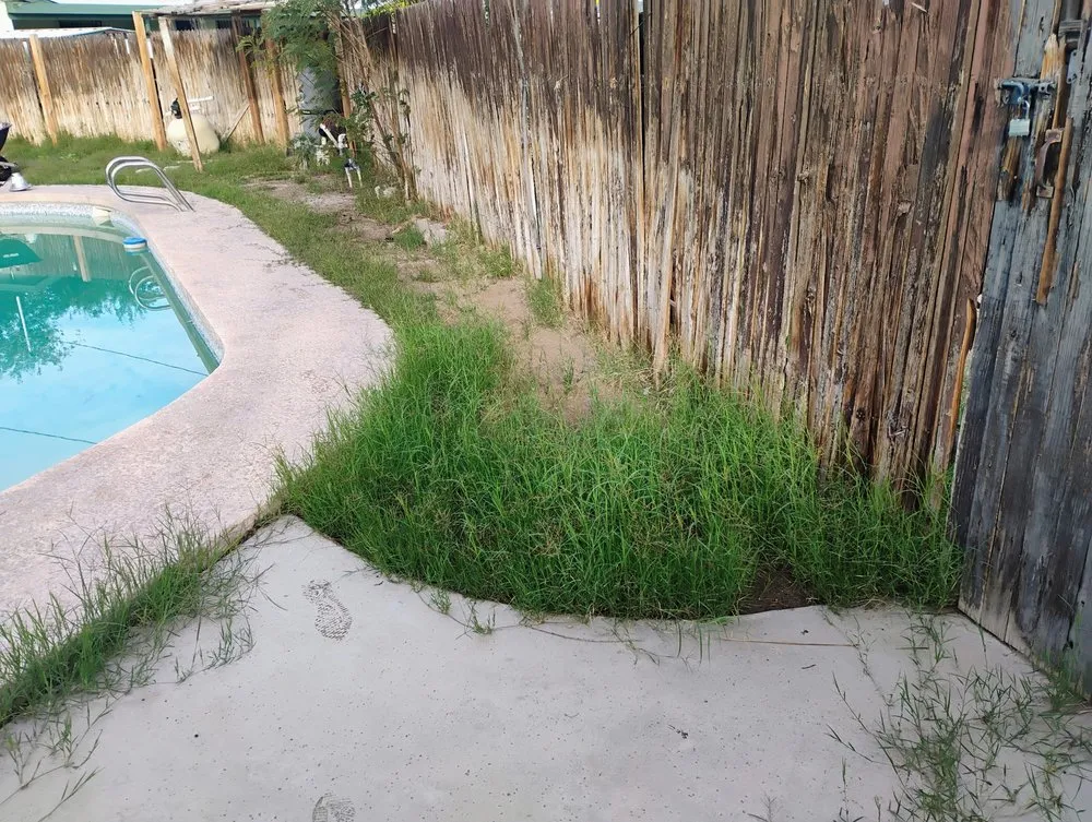 Expert outdoor landscaping for year-round maintenance across Yuma, AZ - Green Teen Landscaping