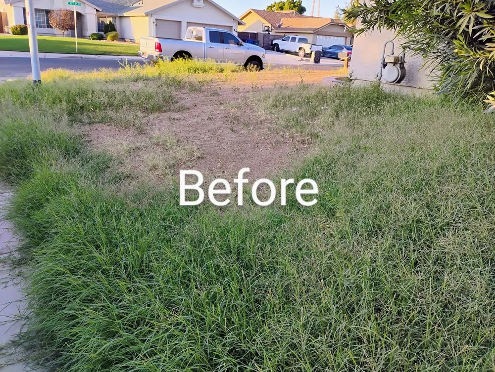 Professional landscape installation experts serving Yuma, AZ - Green Teen Landscaping