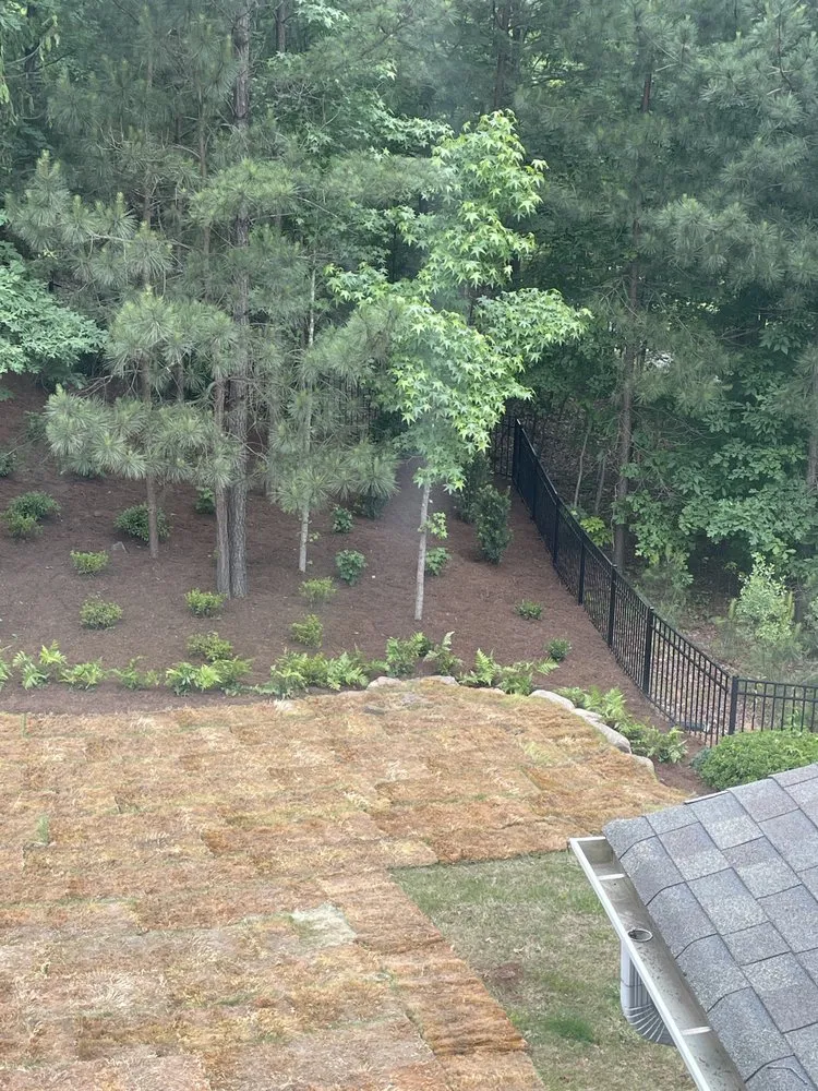 Local outdoor landscaping experts serving Indian Trail, NC - Green Tek Landscaping