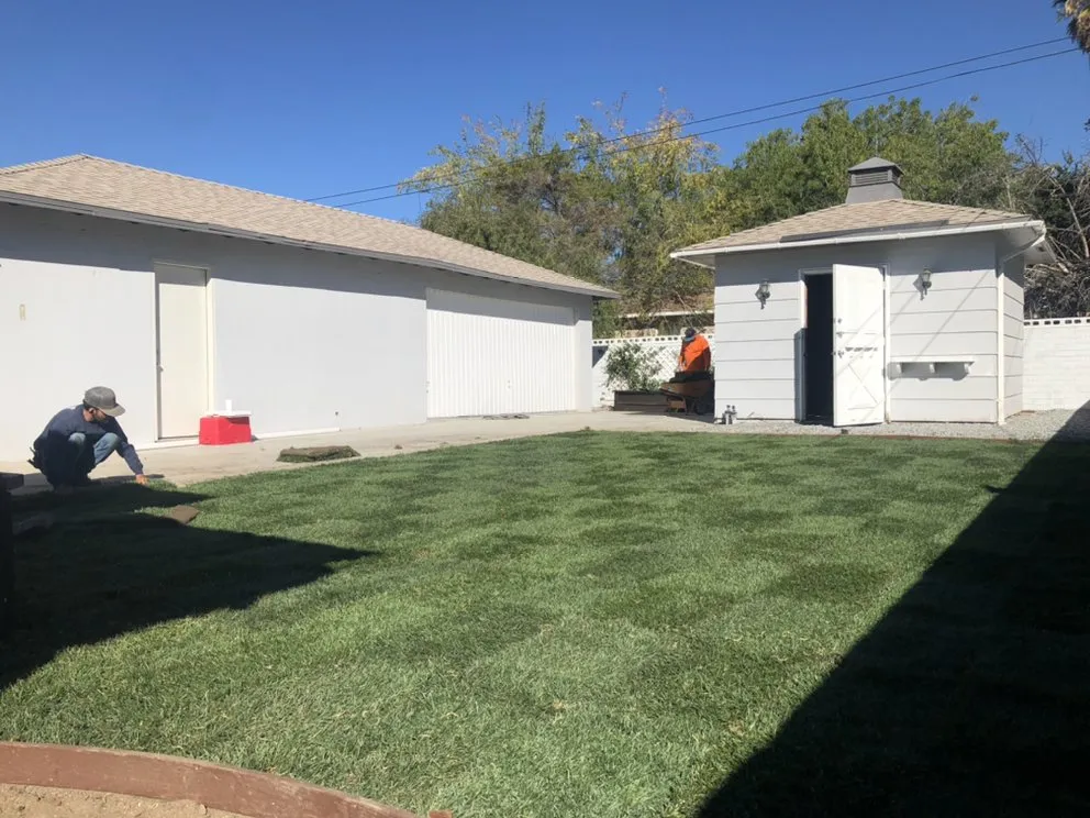 Professional yard cleanup service experts serving Highland, CA - Green Terra