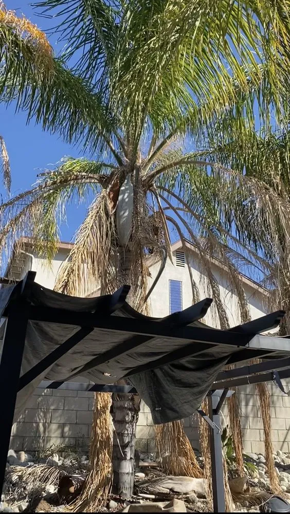 Professional landscape design with custom design in Highland, CA by Green Terra