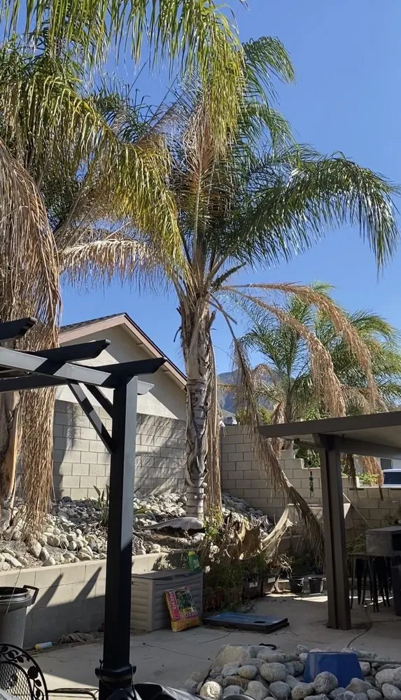 Professional landscaping services for residential properties in Highland, CA by Green Terra