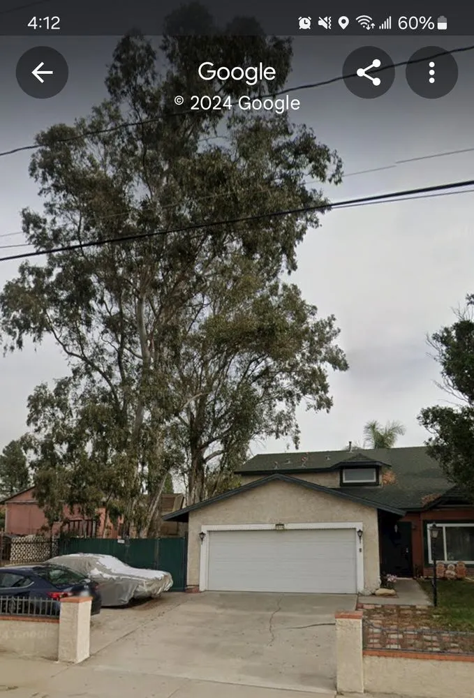 Professional outdoor landscaping in Highland, CA by Green Terra