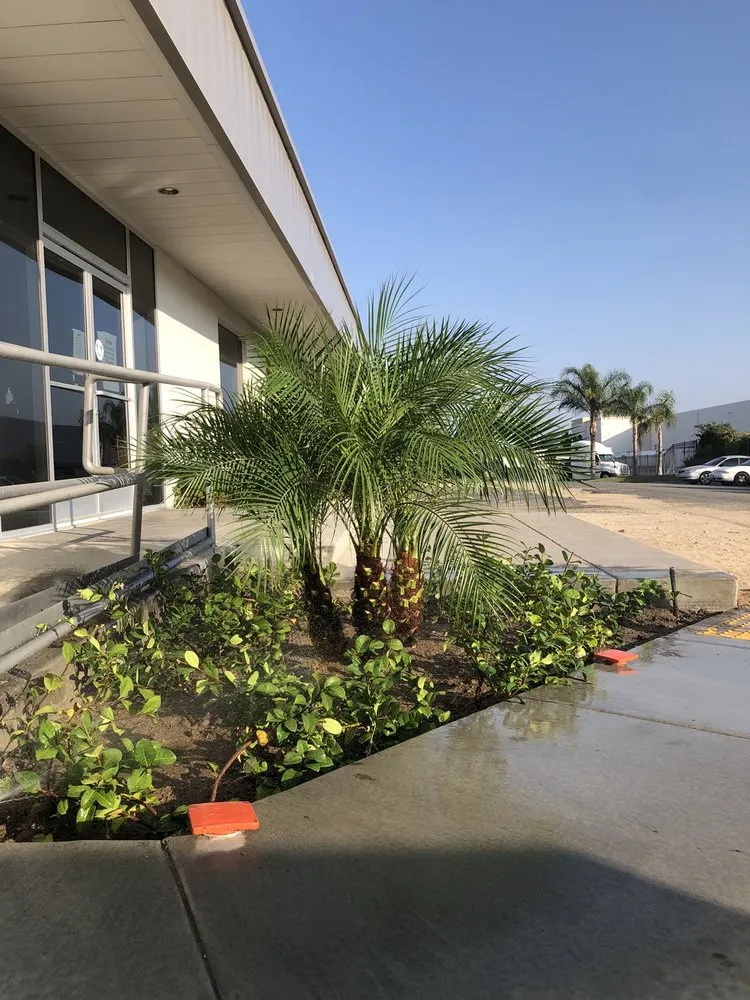 Expert garden landscaping in Highland, CA by Green Terra