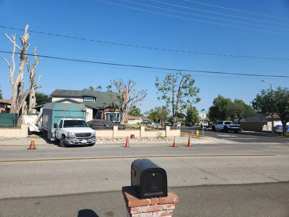 Reliable lawn care service in Highland, CA - Green Terra