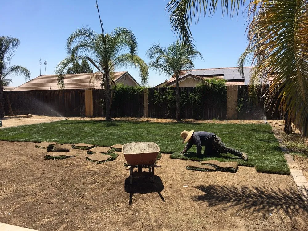 Top-rated lawn care service for year-round maintenance across Highland, CA - Green Terra