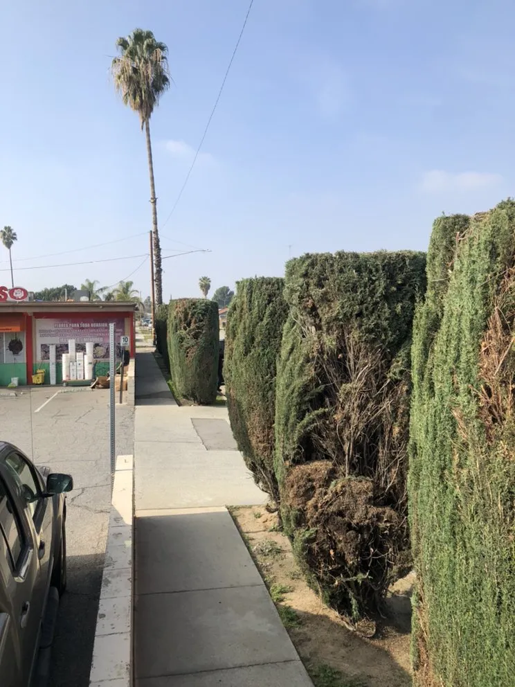 Professional garden landscaping in Highland, CA by Green Terra