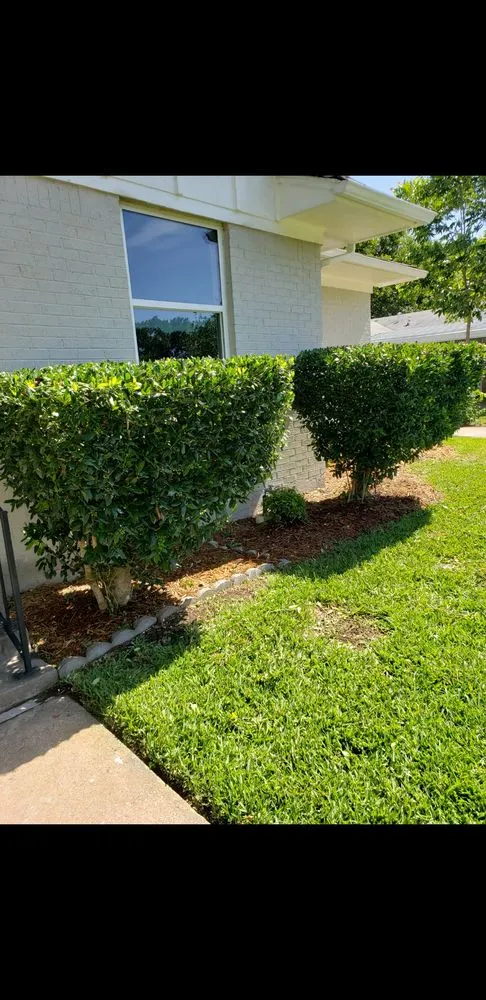 Professional yard maintenance for beautiful yards in Greenville, TX by Green Terrain Landscaping