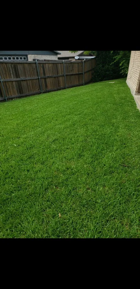 Custom landscape design for beautiful yards in Greenville, TX by Green Terrain Landscaping