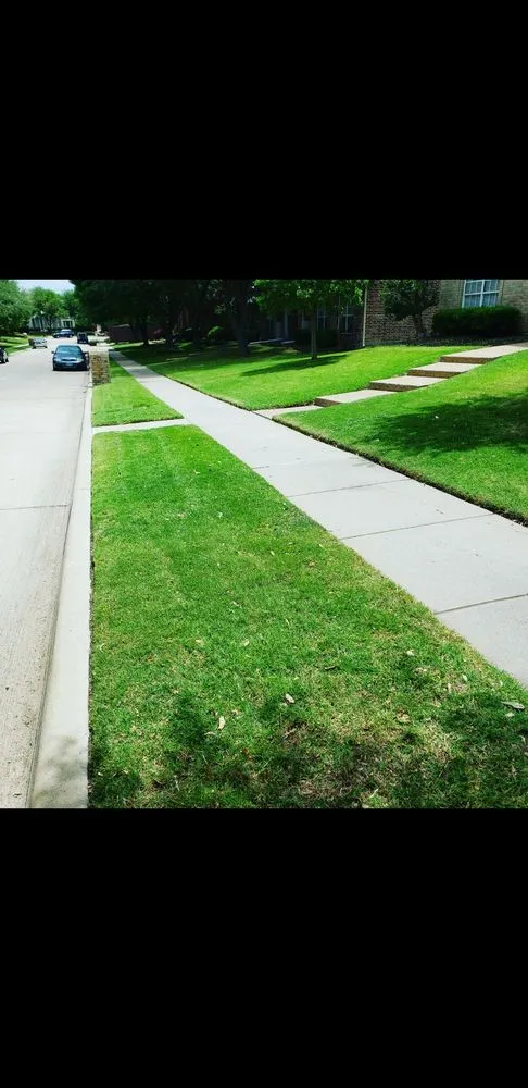 Trusted yard cleanup service for beautiful yards across Greenville, TX - Green Terrain Landscaping