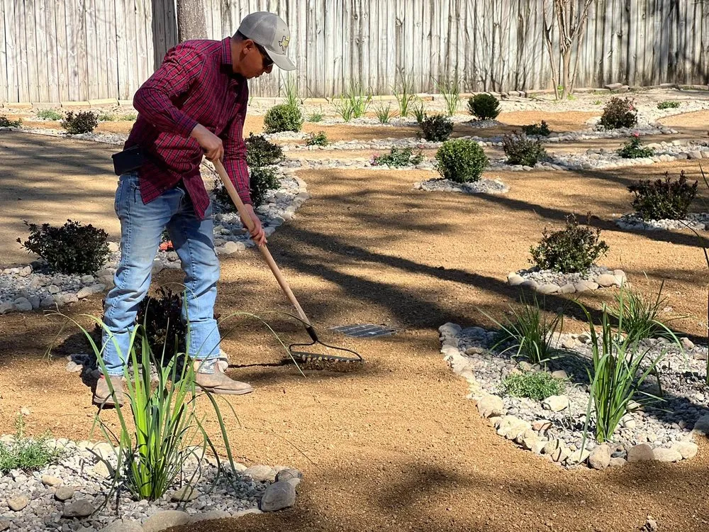 Professional yard cleanup service in Conroe, TX by Green Tex services