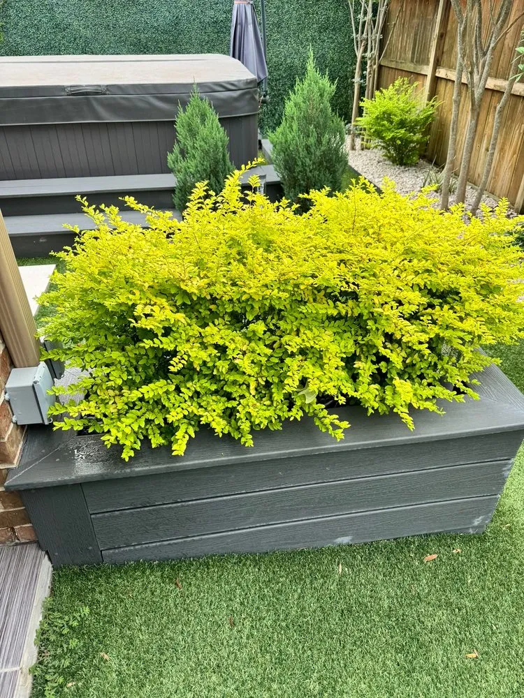 Professional lawn mowing service in Conroe, TX by Green Tex services