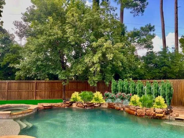 Trusted yard cleanup service in Conroe, TX - Green Tex services