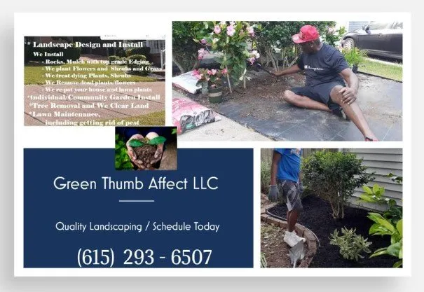 Professional lawn care service experts serving Hendersonville, TN - Green Thumb Affect