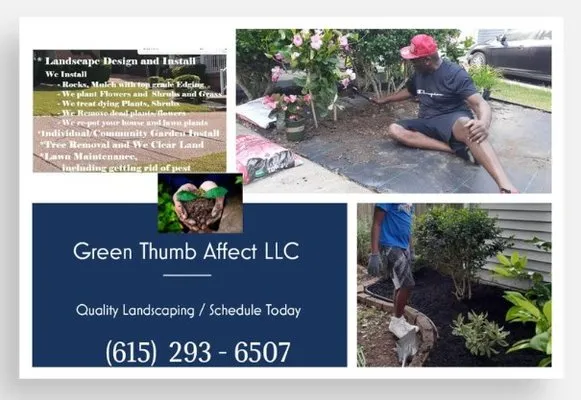 Green Thumb Affect Logo