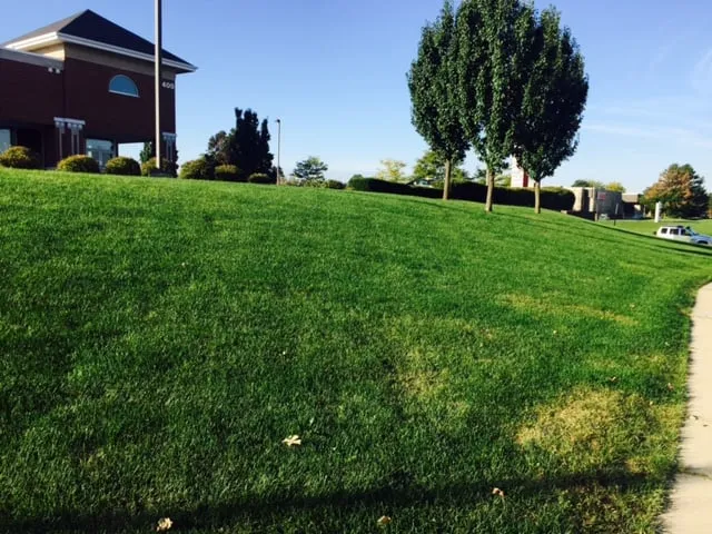 Local yard cleanup service near you in Batavia, IL by Green Thumb Brown Boots