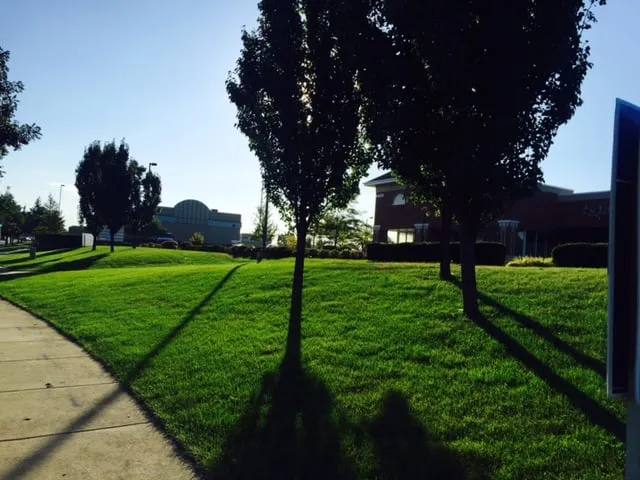 Local yard cleanup service experts serving Batavia, IL - Green Thumb Brown Boots