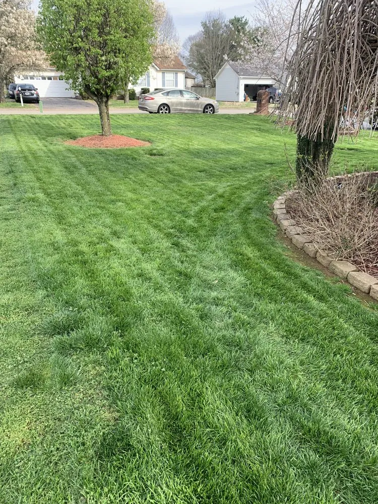 Expert landscape design in Columbia, TN - Green Thumb