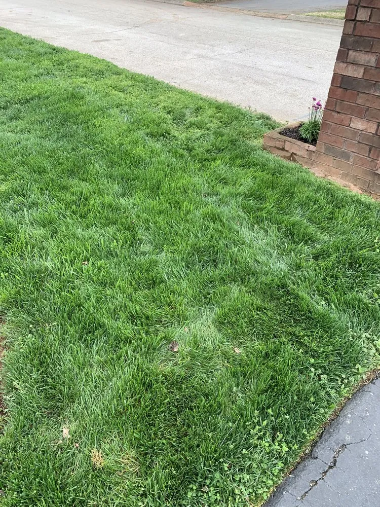 Local outdoor landscaping experts serving Columbia, TN - Green Thumb