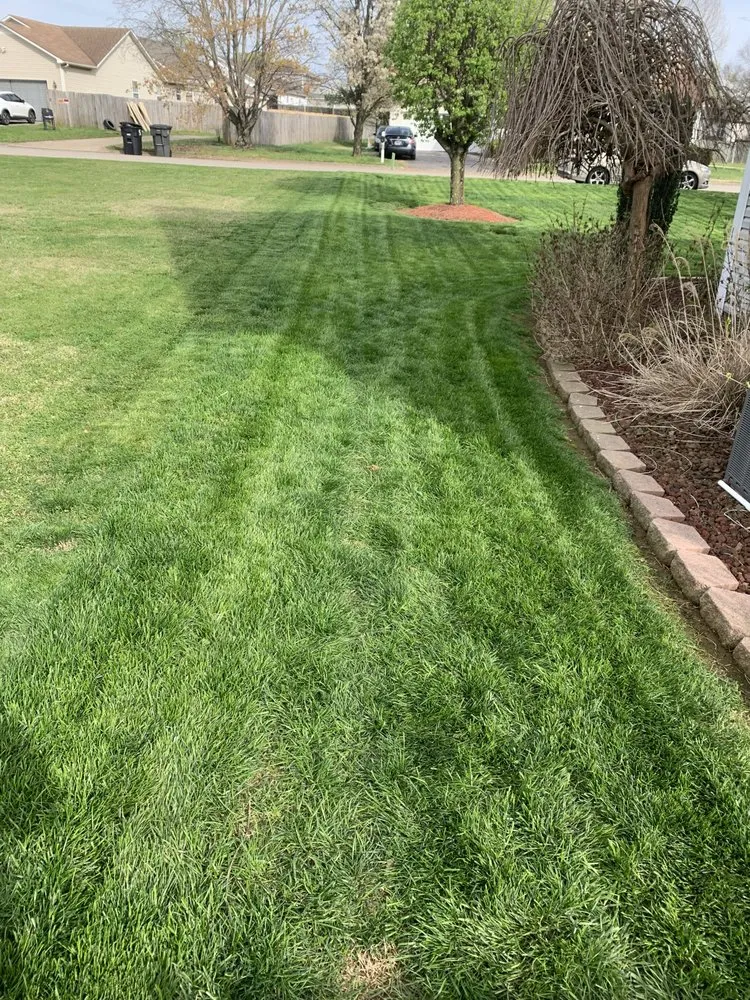 Professional garden landscaping in Columbia, TN - Green Thumb