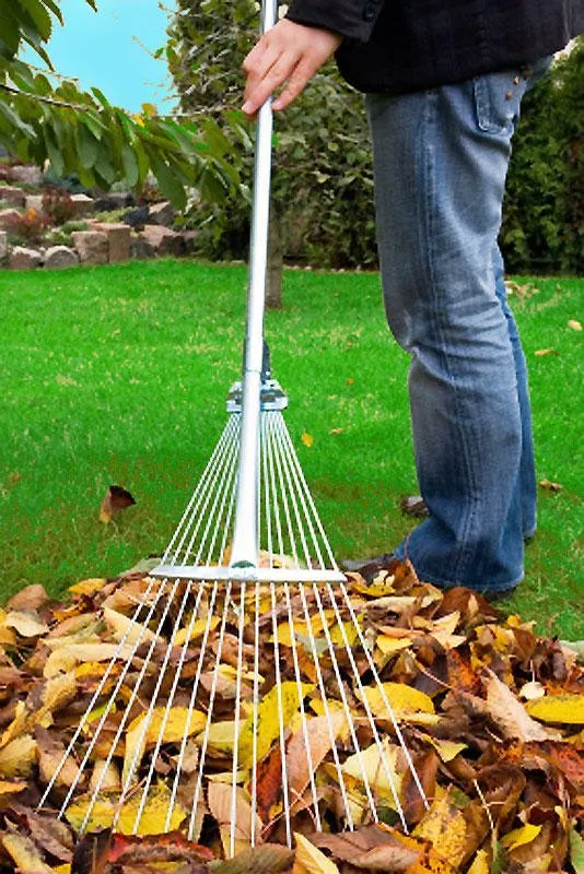 Trusted yard cleanup service in Bellingham, WA - Green Thumb Company