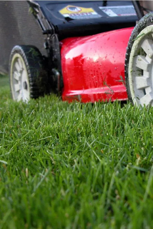 Top-rated outdoor landscaping experts serving Bellingham, WA - Green Thumb Company