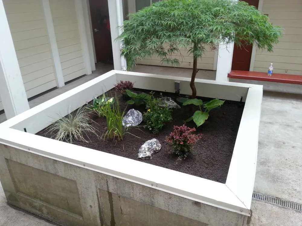 Top-rated landscaping services for residential properties across Bellingham, WA - Green Thumb Company
