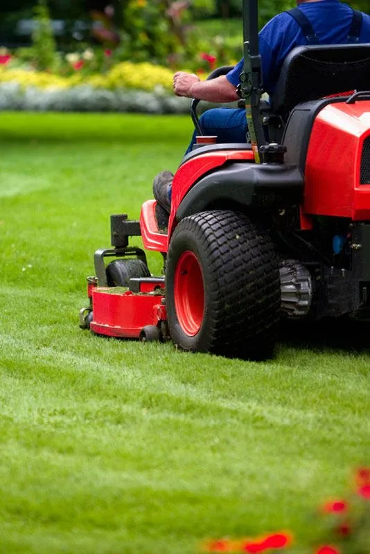 Top-rated landscape design for beautiful yards in Bellingham, WA by Green Thumb Company