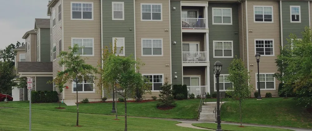 Trusted landscaping services for year-round maintenance across Bellingham, WA - Green Thumb Company