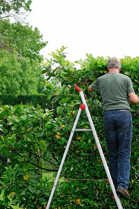 Reliable outdoor landscaping experts serving Bellingham, WA - Green Thumb Company