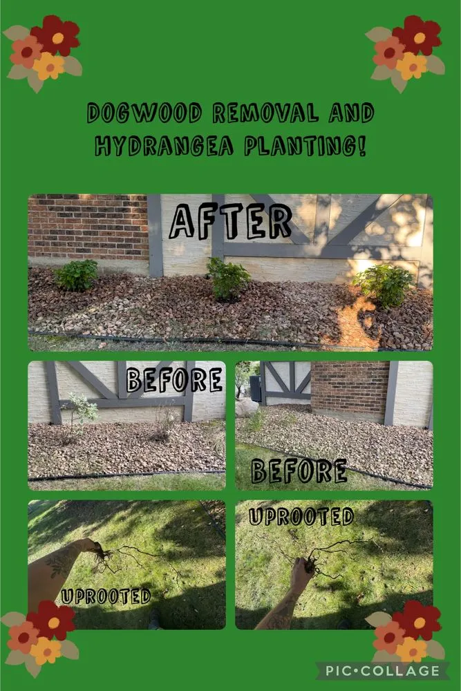 Professional yard maintenance in Cottage Grove, MN by Green Thumb Creations