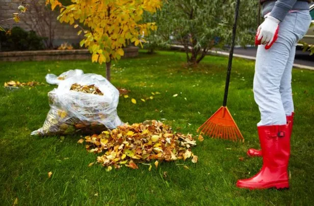 Top-rated landscape installation in Cottage Grove, MN by Green Thumb Creations