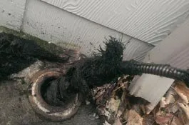 Professional residential landscaping in Detroit, MI - Green Thumb