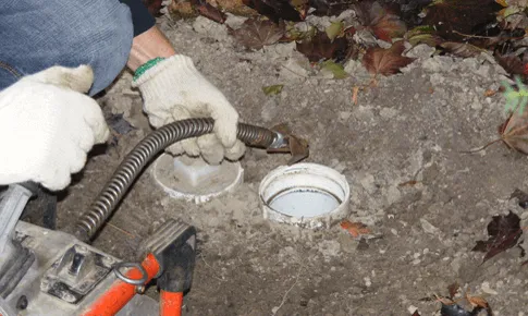 Top-rated landscape design for year-round maintenance across Detroit, MI - Green Thumb