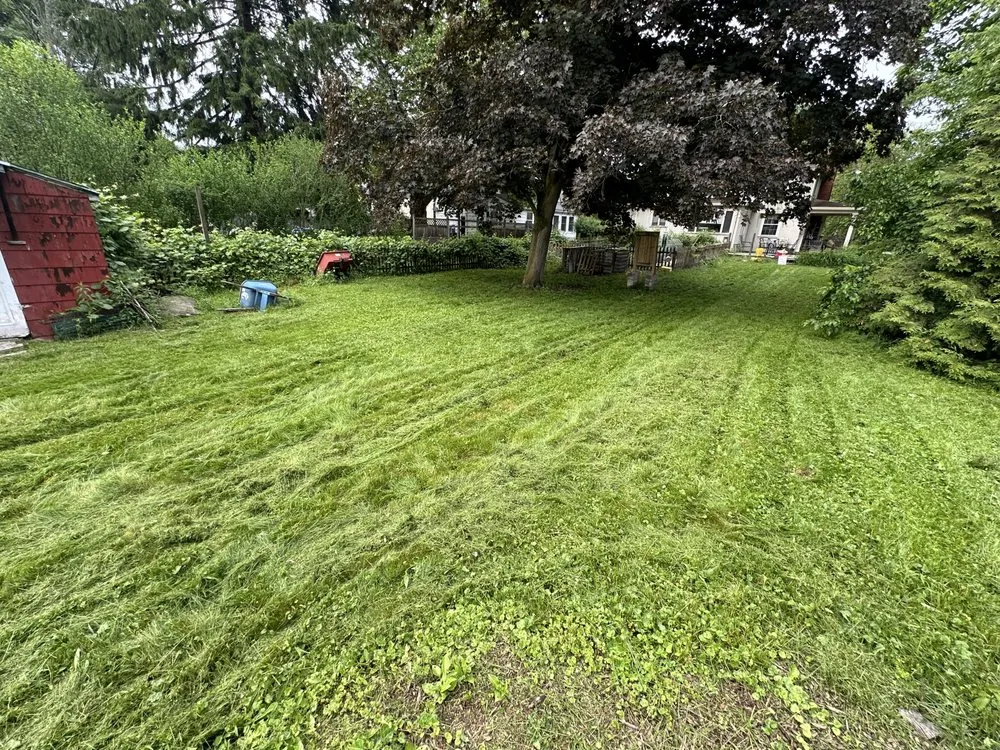 Professional garden landscaping in Rochester, NY - Green Thumb Fellas