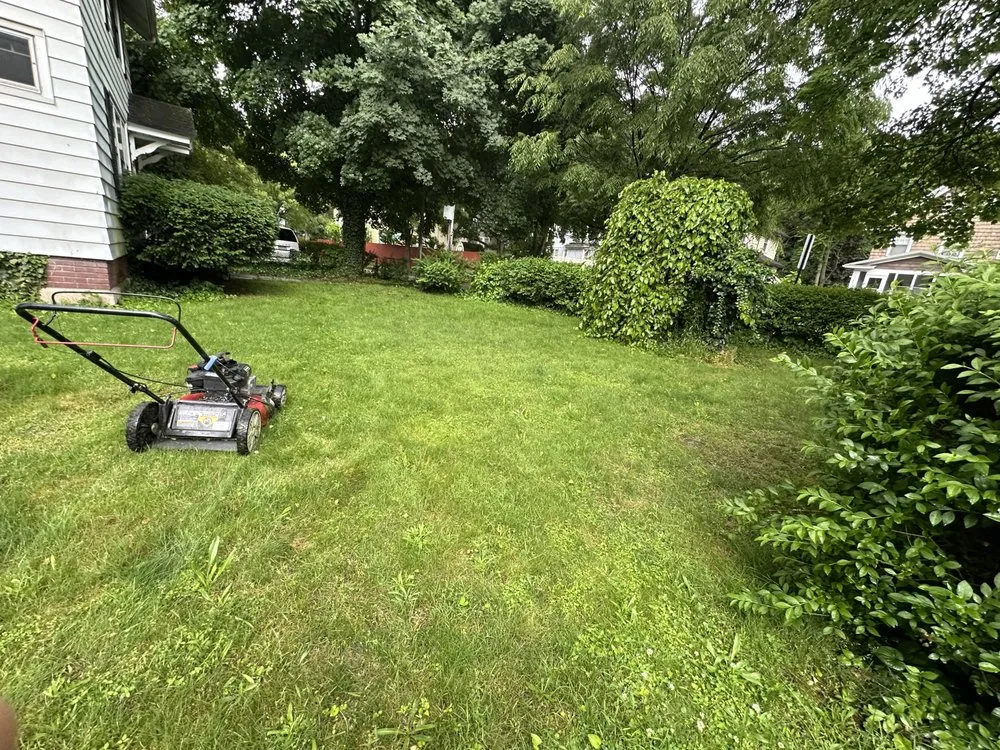 Expert yard maintenance in Rochester, NY by Green Thumb Fellas