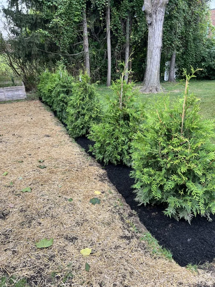 Trusted lawn mowing service for outdoor upgrades across Walled Lake, MI - Green Thumb Garden Services