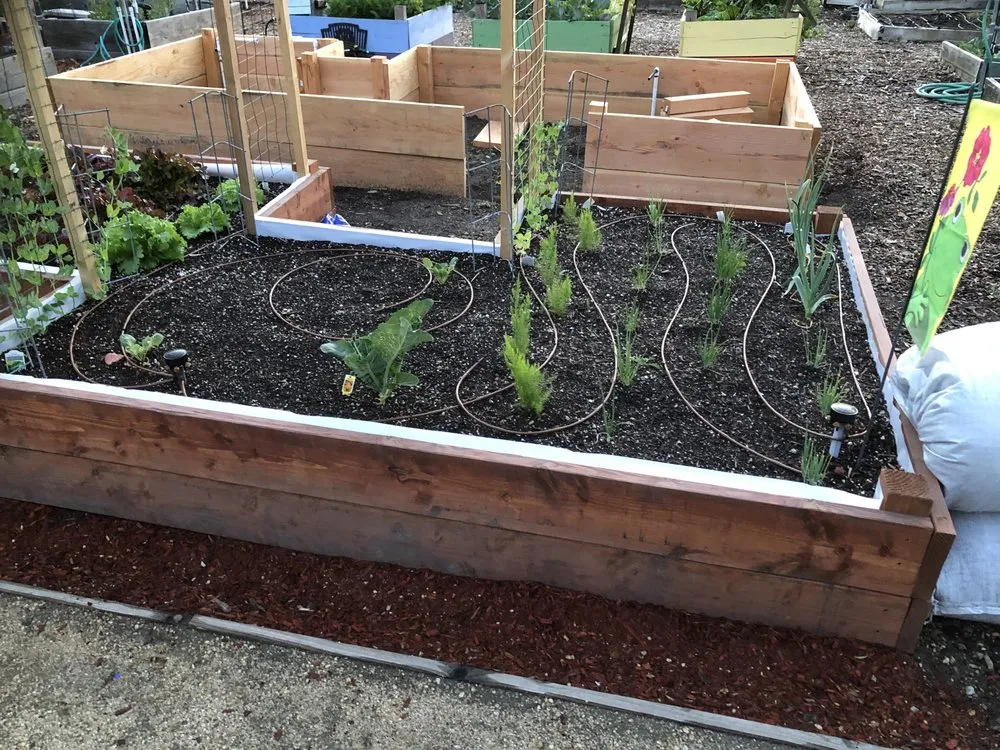 Custom landscape installation for outdoor upgrades in Anaheim, CA by Green Thumb Gardening