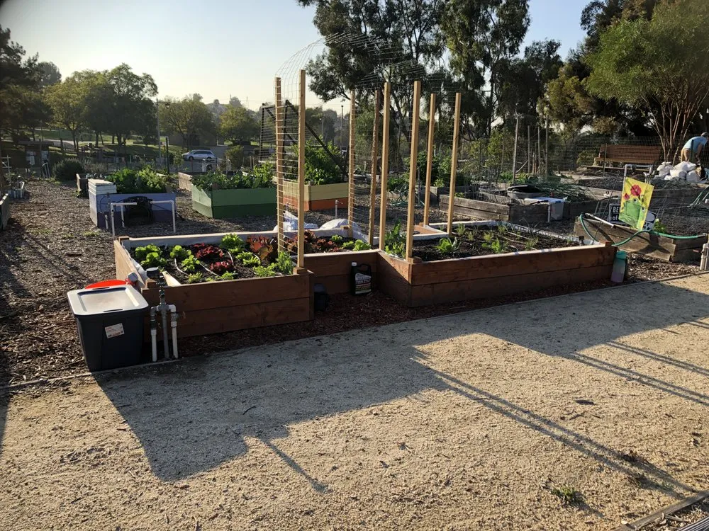 Reliable outdoor landscaping in Anaheim, CA by Green Thumb Gardening