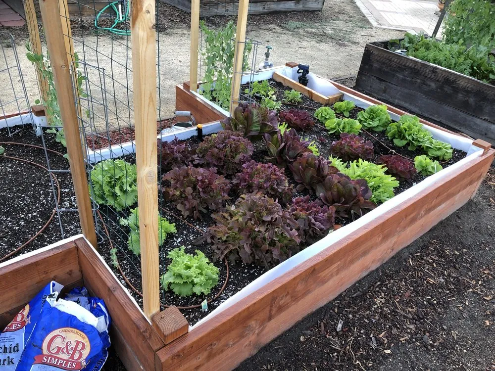 Expert yard maintenance in Anaheim, CA - Green Thumb Gardening