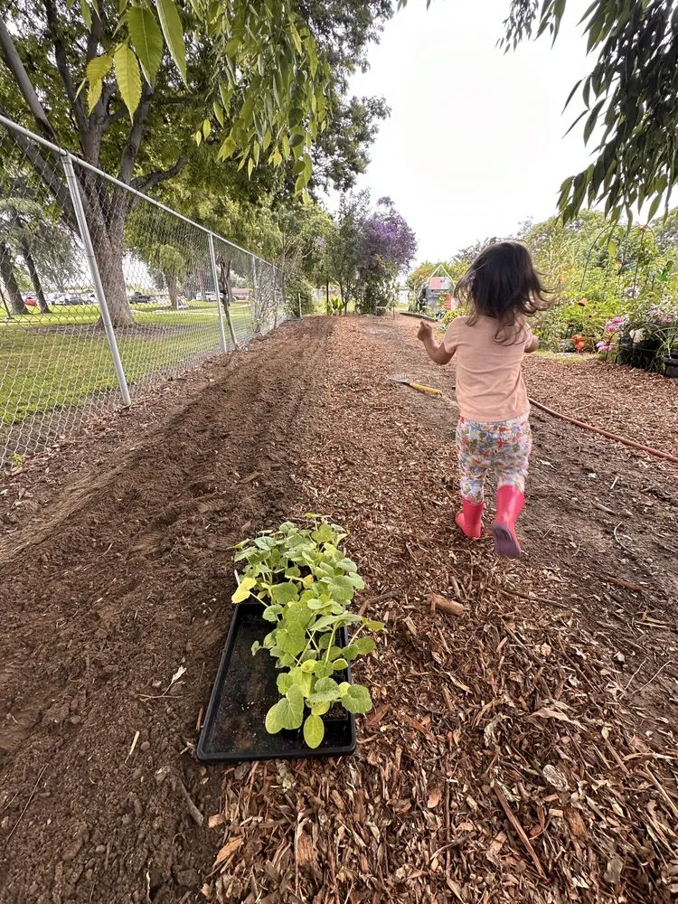 Custom landscape installation in Anaheim, CA - Green Thumb Gardening