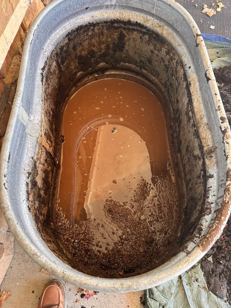 Affordable yard maintenance in Anaheim, CA - Green Thumb Gardening