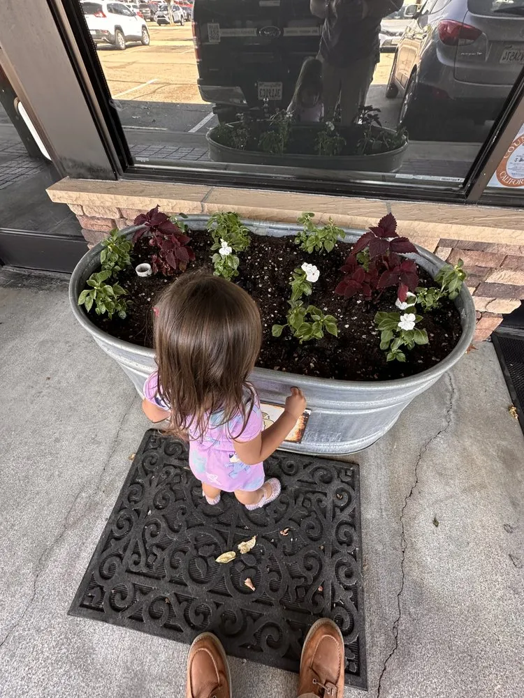 Reliable landscape installation near you in Anaheim, CA by Green Thumb Gardening